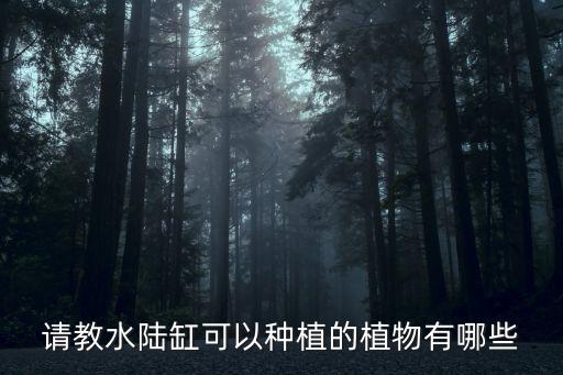 水培蔬菜有哪些，請教水陸缸可以種植的植物有哪些