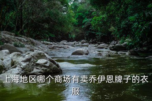 上海市卓笛商貿有限公司，上海市延安西路1088號長峰中心15樓1506室是什么公司