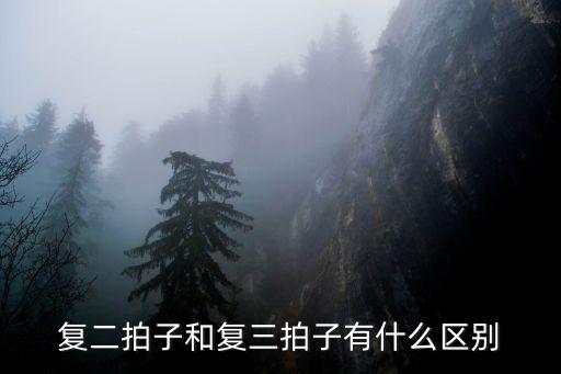 混合拍子，怎么知道復拍子混合拍子有幾個帶強音的單位拍又在何處