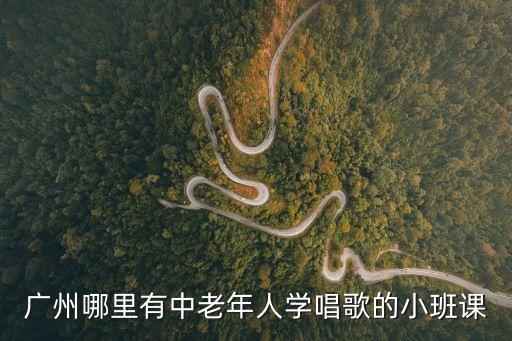 廣州中老年學唱歌的地方，廣州哪里有中老年人學唱歌的小班課