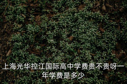 上海市國際學(xué)校學(xué)費貴，上海光華控江國際高中學(xué)費貴不貴呀一年學(xué)費是多少