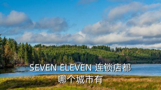 SEVEN ELEVEN 連鎖店都哪個城市有
