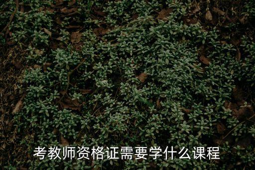 上海市教師資格專業課程，上海教師資格證三門專業課考試