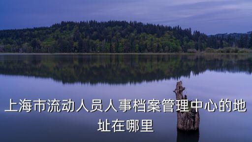 上海市流動(dòng)人員人事檔案管理中心的地址在哪里