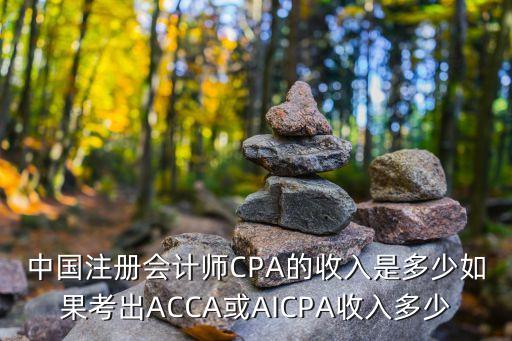 上海市考證獎勵，蝴蝶組合是什么時候出道的
