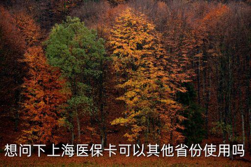 想問下上海醫(yī)保卡可以其他省份使用嗎