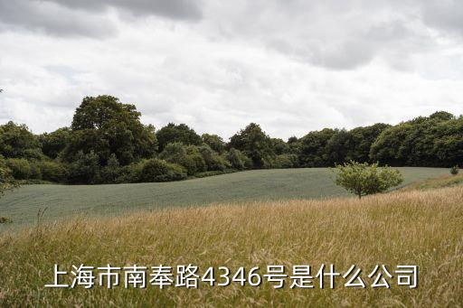 上海市趙尚華，上海市常德路1273弄1號樓1203室是騙子公司嗎 有沒人知道這里
