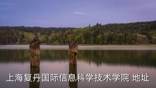 上海市羅新苑地址，上海羅家新村在哪里