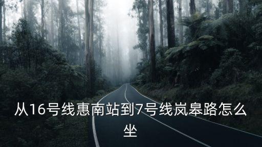 從16號線惠南站到7號線嵐皋路怎么坐