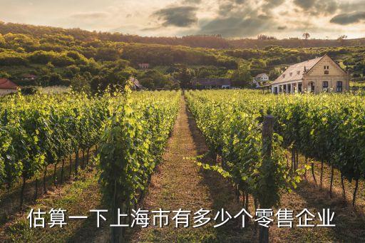 上海市零售行業有哪些，估算一下上海市有多少個零售企業