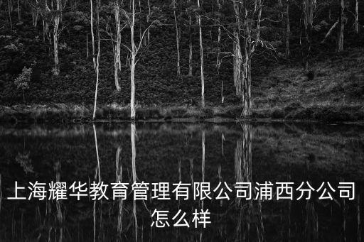 上海耀華教育管理有限公司浦西分公司怎么樣