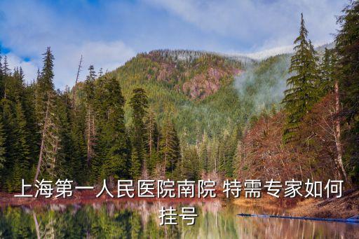 上海市第一人民醫院南院醫術，上海市第一人民醫院 松江 南部 泌尿外科 好掛號嗎 專家 有普通門診