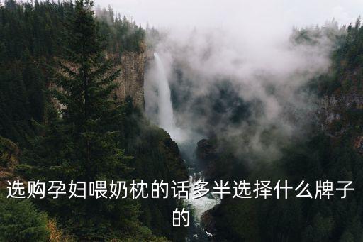 選購孕婦喂奶枕的話多半選擇什么牌子的