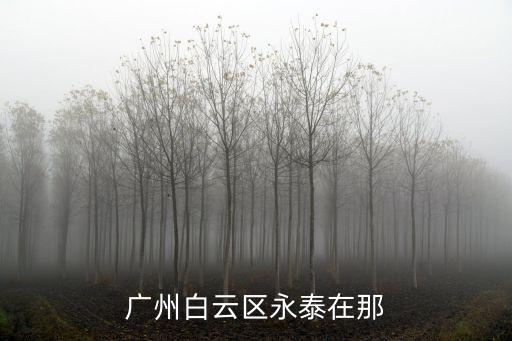 廣州白云區永泰官廳西街照片，廣州白云區永泰是什么街道