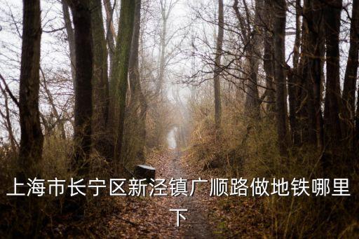 上海市長寧區新涇鎮廣順路做地鐵哪里下