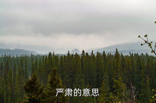 嚴肅的意思，嚴肅的意思
