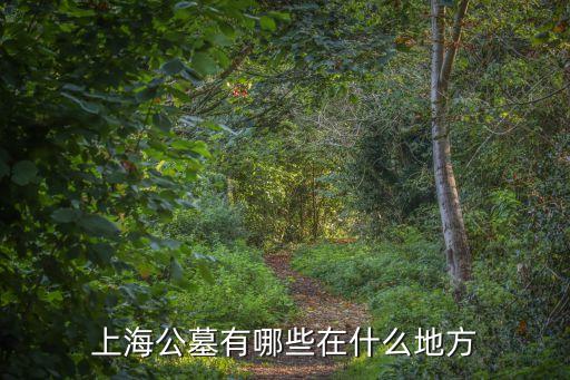 上海市 楓涇公墓，從青浦城區到楓涇公墓是高速公路還是地面道路遠
