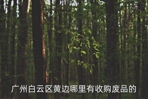 廣州白云區黃邊哪里有收購廢品的