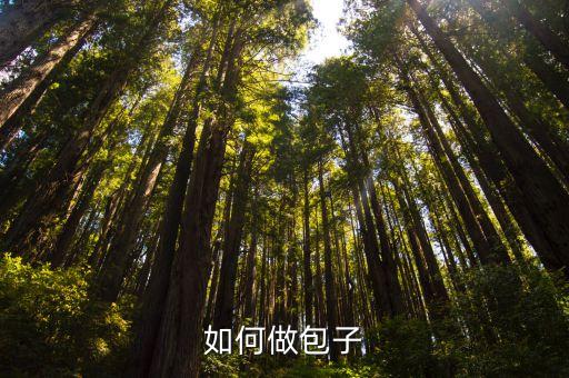 如何包包子，如何做包子
