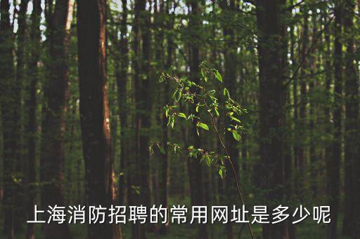 上海消防招聘的常用網(wǎng)址是多少呢