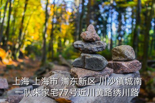 上海 上海市 浦東新區 川沙鎮城南一隊朱家宅77號近川黃路繡川路