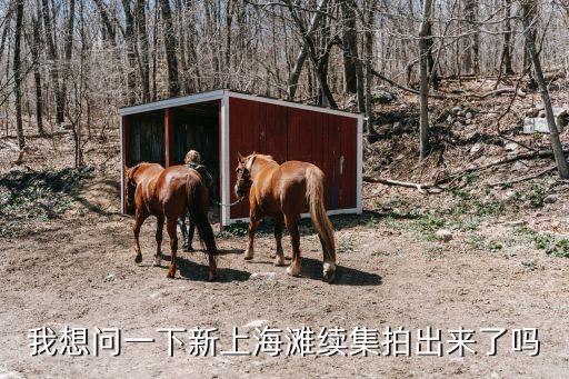 上海市灘續集電視劇，新上海灘有續集嗎
