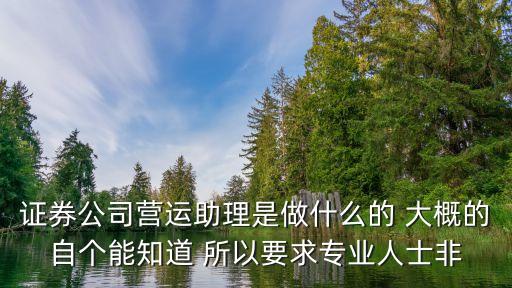 營運助理，淘寶運營助理主要負責哪些工作越詳細越好
