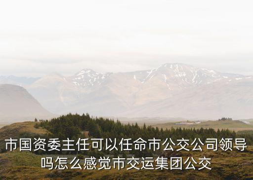 現(xiàn)任上海市國資委主任，市國資委主任可以任命市公交公司領(lǐng)導(dǎo)嗎怎么感覺市交運集團公交