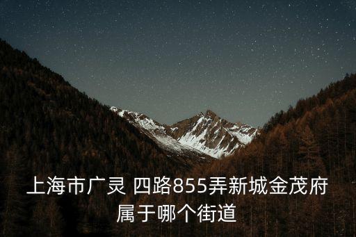 上海市廣靈 四路855弄新城金茂府屬于哪個街道