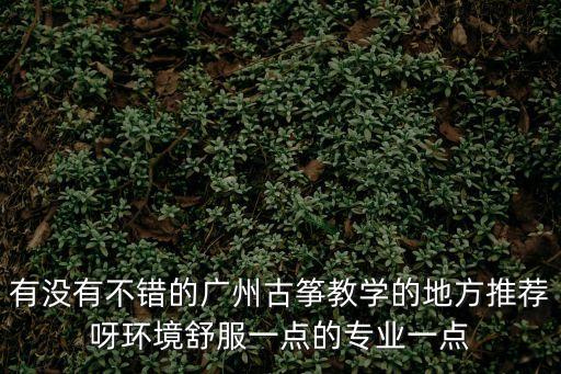 廣州青荷古箏培訓班哪里好，廣州的古箏培訓機構哪家比較好