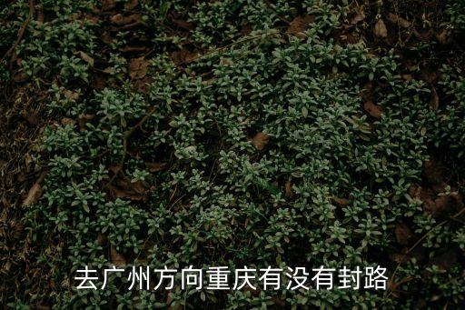 去廣州方向重慶有沒有封路
