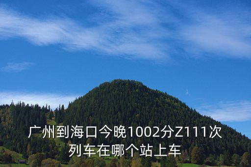 廣州到海口的火車z111，廣州到?？诮裢?002分Z111次列車在哪個站上車