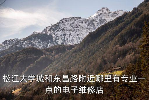 松江大學城和東昌路附近哪里有專業(yè)一點的電子維修店