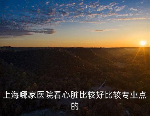 上海市看心臟哪家醫院好，上海哪家醫院看心臟比較好比較專業點的