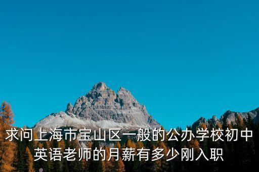 求問(wèn)上海市寶山區(qū)一般的公辦學(xué)校初中英語(yǔ)老師的月薪有多少剛?cè)肼? class=
