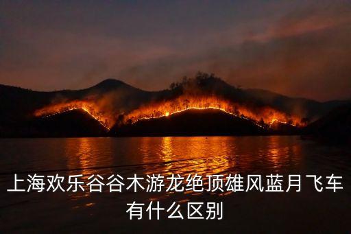 上海市歡樂谷藍月飛車，上海歡樂谷里面的藍月飛車和大擺錘哪個要恐怖難受