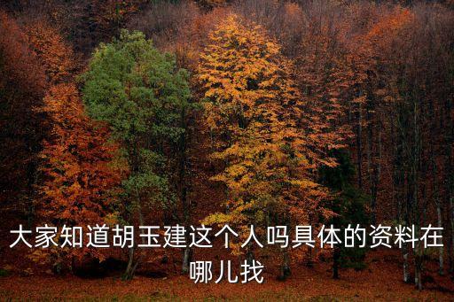 上海市投資有限公司董事長，請問李宗祐一般喜歡投資什么項目呢