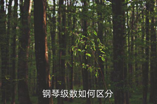 鋼琴等級劃分標(biāo)準(zhǔn)，鋼琴是怎么分級的最高是幾級六級是什么水平光良童話用鋼琴彈