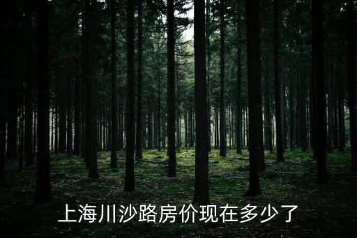 上海川沙路房價現在多少了