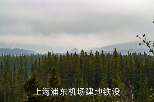 上海浦東機場建地鐵沒