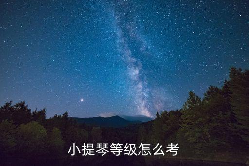 上海市小提琴考點，在上海小提琴考級在什么地方考啊