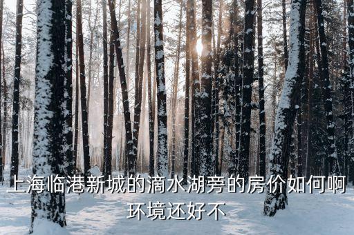 上海市臨港地方房價，上海臨港新城的滴水湖旁的房價如何啊環(huán)境還好不