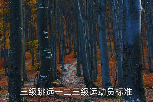 三級跳遠一二三級運動員標準