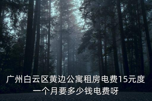廣州白云區黃邊公寓租房電費15元度一個月要多少錢電費呀