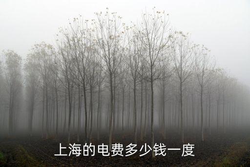 上海的電費多少錢一度