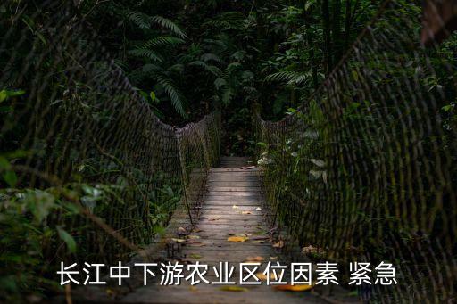 上海市委洪峰，長江中下游平原自然區位優勢