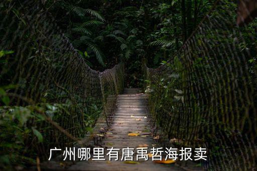 廣州哪里有唐禹哲海報賣