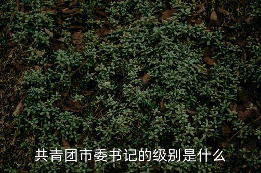 共青團(tuán)市委書記的級(jí)別是什么
