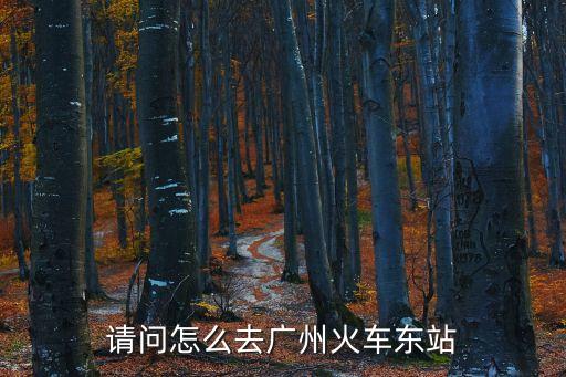 興化市高鐵站到廣州東站，搭高鐵到廣州東站怎么去地鐵