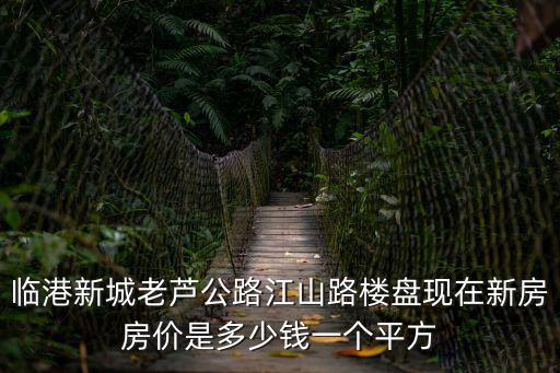 臨港新城老蘆公路江山路樓盤現在新房房價是多少錢一個平方